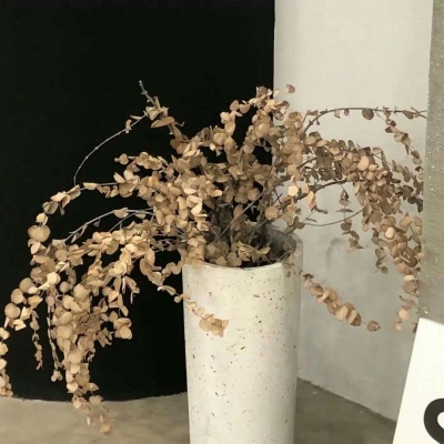 兽设场景氛围营造教程福瑞群